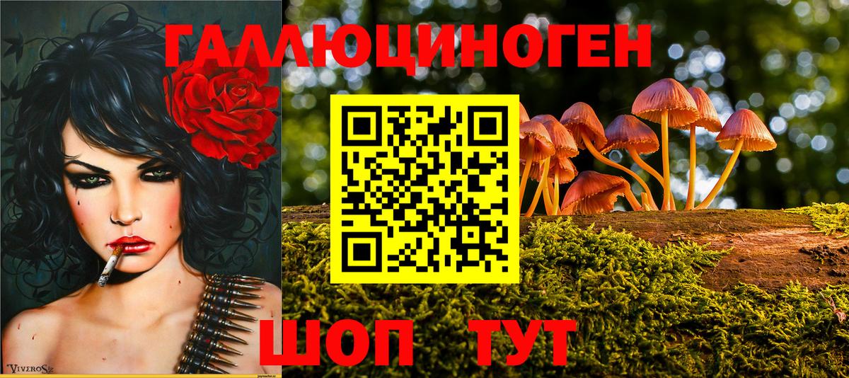 Псилоцибиновые грибы ЛСД Чернушка
