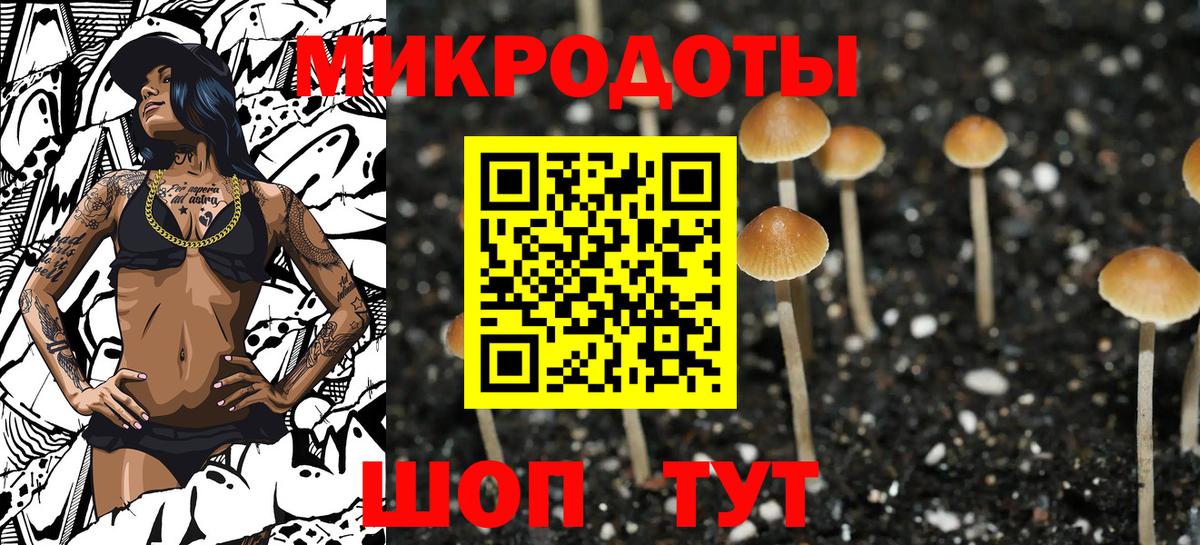 Псилоцибиновые грибы Psilocybe  Вход с VPN  Чернушка 